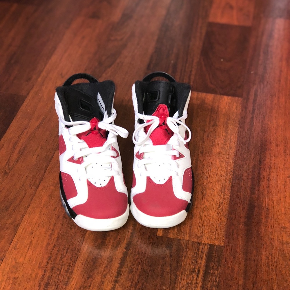 Air Jordan Carmine 6's